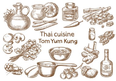 Tayland mutfağı. Tom yum Kung malzemeler vektör kroki.