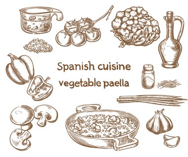 İspanya mutfağı. Sebze paella malzemeler vektör kroki.