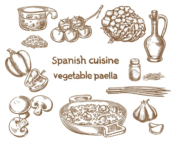 Spanische Küche Vektorskizze Für Pflanzliche Paella Zutaten lizenzfreie Stockillustrationen