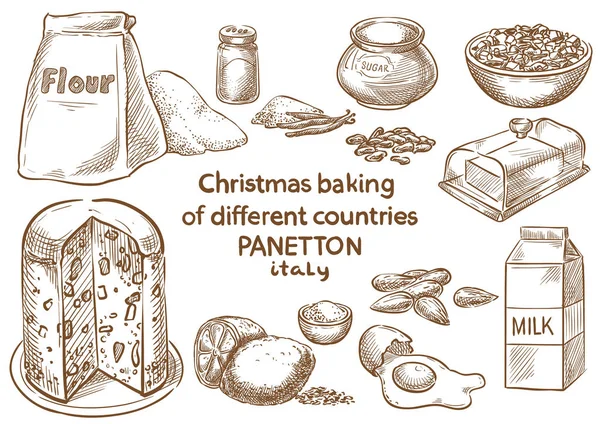 Noel Pişirme Ingredients Panetton Italy — Stok Vektör