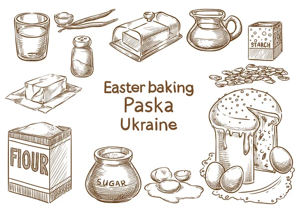 Easter baking. Paska. Ukraine. Vector sketch — Stock Vector