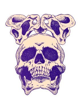 Korkunç korkutucu kafatası. Cadılar Bayramı için tüyler ürpertici illlustration