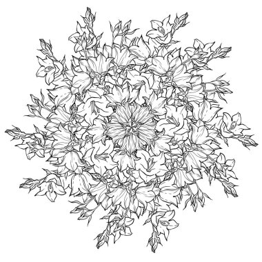 Daire deseni ile bellflowers. Yuvarlak kaleydoskop çiçek ve çiçek öğeleri. Çelenk. Tasarım kartı.