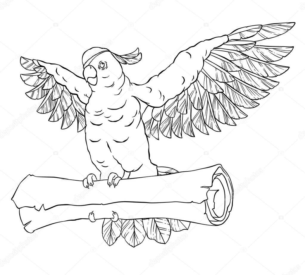 Pirate parrot in flight with outstretched wings and the coin in his paws. Cockatoo. Vector illustration isolated on white background. Coloring page