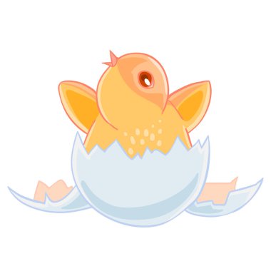 Sevimli küçük sarı tavuk yumurtadan bir yumurtadan ve kabukta oturur. Vektör çizim. T-shirt baskı. Tebrik kartı.