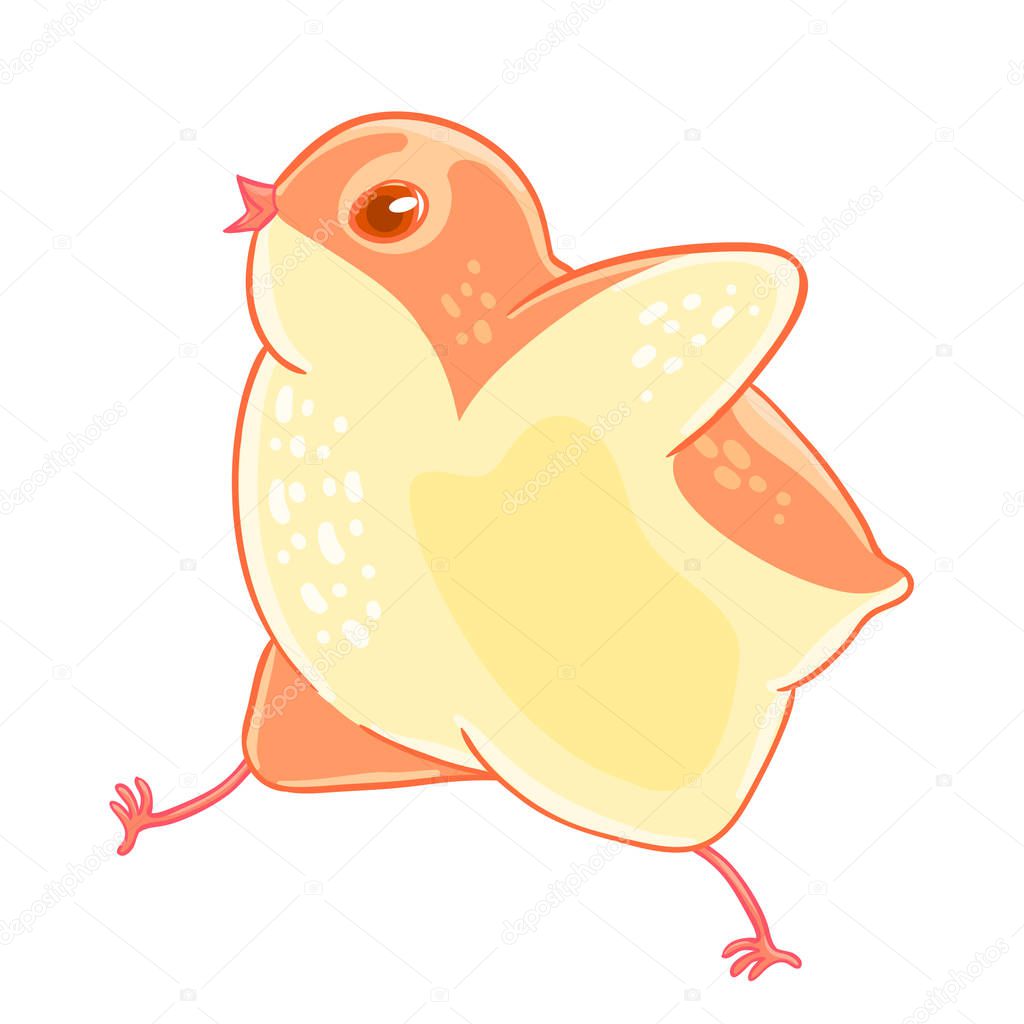Little cute chick walks outstretched wings. Vector illustration isolated on white background.