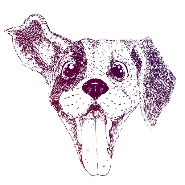 Cão Feliz Engraçado Desenho Ilustração Vetorial Filhote Cachorro Com Uma —  Vetores de Stock