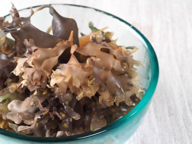İrlandalı yosun - Carrageen Moss Musgo de Irlanda. Binominal adı: Chondrus Crispus. Bir deniz sebze ya da yenilebilir kırmızı deniz yosunu olduğunu.