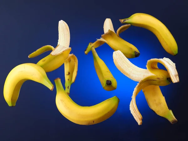 Banana Platanobananes Suspendues Dans Air Fond Dégradé Bleu — Photo