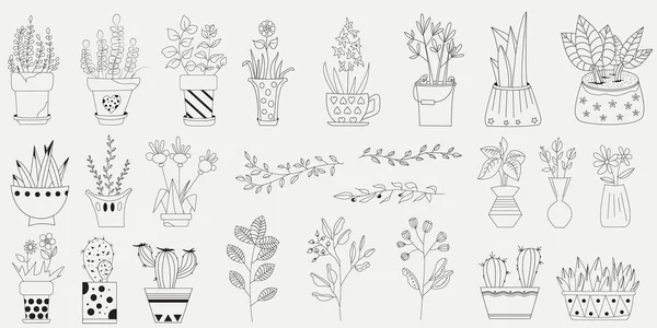 Ensemble Vectoriel Plantes Intérieur Dessinées Main Cactus Pots Sur Fond — Image vectorielle