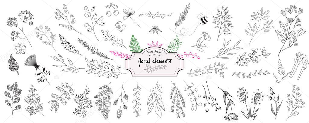 Hand drawn collection of rustic and floral design elements. Tree branches, flowers, plants and leaves ink silhouettes. Isolated vector on white background