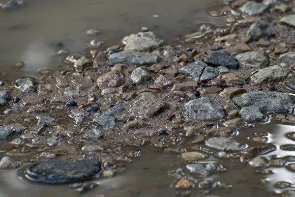 Wet stones and gravel puddles