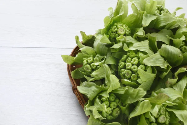 Bir erken bahar yabani ot tomurcukları.