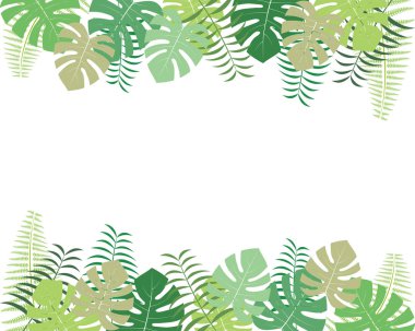 Monstera ve palmiye yaprağı arka plan