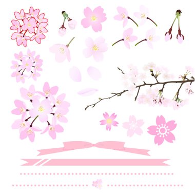 Sakura, dot, model, pembe, çerçeve, çiçek, kenarlığı, kurdele, Japonca, Japonca, bahar, ağaç, ağaç, dal, kiraz, çiçekleri, çiçek, soluk, bloom, arka plan, doğal, çiçek, petal, çiçek, çiçek açan