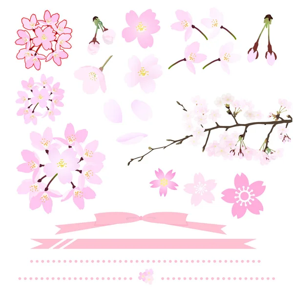 Sakura Dot Model Pembe Çerçeve Çiçek Kenarlığı Kurdele Japonca Japonca — Stok Vektör