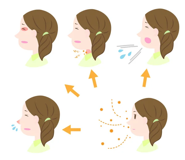 Verschillende Symptomen Van Hooikoorts — Stockvector