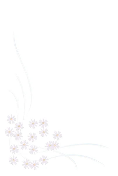 光のトーン菊のイラスト — ストックベクタ