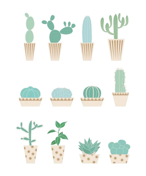 Diverses Formes Cactus — Image vectorielle