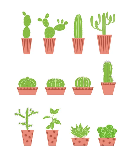 Diverses Formes Cactus — Image vectorielle