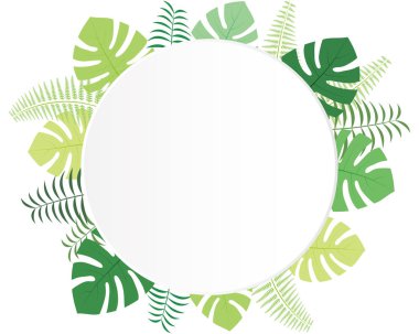 Monstera ve palmiye yaprağı arka plan