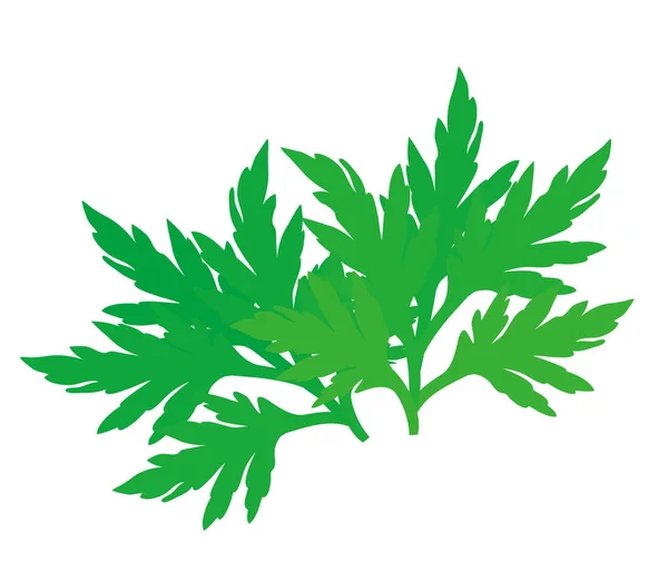 Illustration of a young wormwood leaf. — Stock Vector