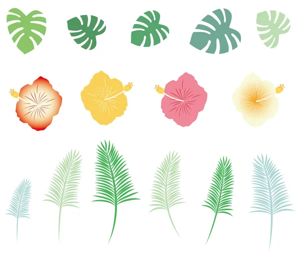 Ilustração de monstera e ícones de palma e hibisco . — Vetor de Stock