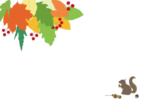 Ilustración de ardilla con hojas coloridas de otoño . — Vector de stock