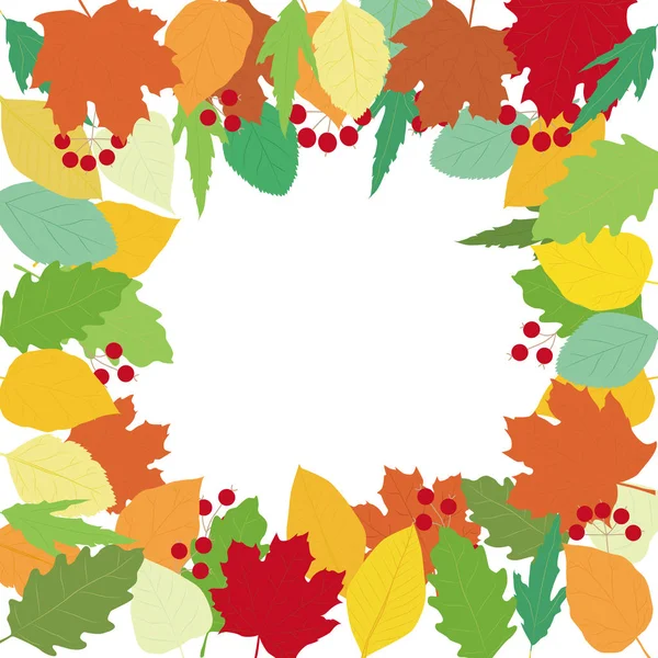 Ilustración de colorido otoño color hojas marco . — Vector de stock