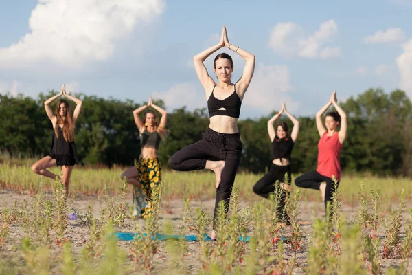 Nauczyciel jogi i uczniowie uprawiający jogę na świeżym powietrzu — Zdjęcie stockowe