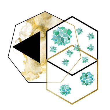 Suluboya echeveria succulents ve altın ve siyah altıgenler ve üçgen geometrik minimalist modern kompozisyon beyaz arka plan üzerinde