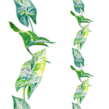 Tropikal yaprak kesintisiz dikey kenarlık desen 2 ölçeklerde. Elle çizilmiş watercolo illüstrasyon izole beyaz arka plan üzerinde.