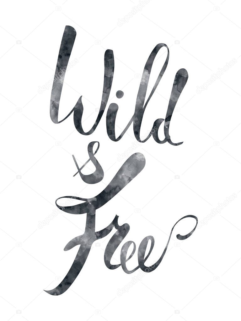 Wild and free brush pen lettering, Hand drawn watercolor typography card, inspirational phrase about freedom. Modern calligraphy, light design elements for prints and posters. Isolated on white.