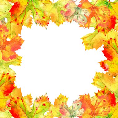 Üzüm asma yaprakları sonbaharın kare kare. Sonbahar yaprakları beyaz arka plan üzerinde. Gerçekçi suluboya el illüstrasyon boyalı.