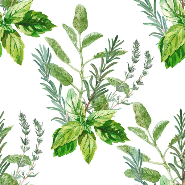 Watercolor seamless herbal pattern. Bunches of fresh culinary and medicinal herbs and branches. Basil, rosemary, thyme, sage green. For any surface, textile, tableware, wallpaper, packaging design — Stock Photo, Image
