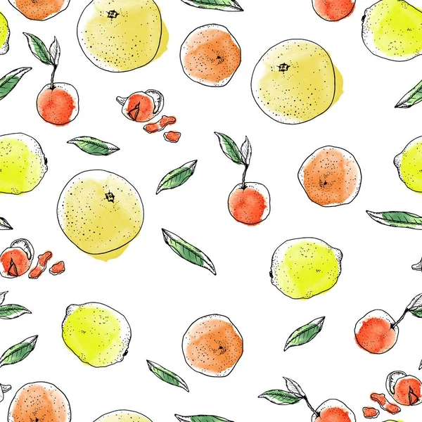Tinta, akvarell vázlat citrusfélék minta fehér háttér. Grépfrút, narancs, narancs, citrom, mandarin, mandarin, héj, zöld levelek. — Stock Fotó