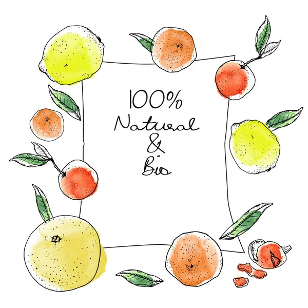 Tuš a akvarel skica citrusových plodů obdélníkové banner na bílém pozadí. Grepy, oranžové pomeranče, žluté citrony, mandarinky, mandarinky, kůra, zelené listy. — Stockový vektor