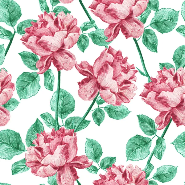 Patrón floral vintage sin costuras con rosas de jardín dibujadas a mano. Elegante rosa pastel y diseño verde con hojas y flores sobre fondo blanco — Foto de Stock