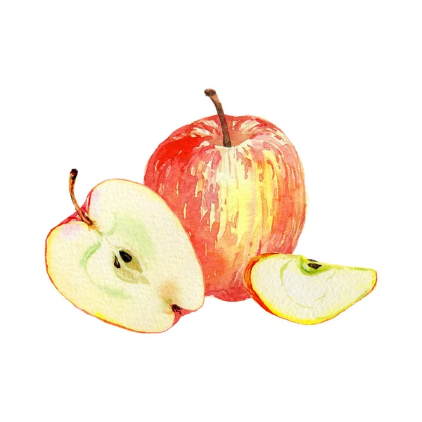 Czerwone jabłka wyizolowane na białym tle. Akwarela ilustracja cięcia i całe czerwone jabłka. Kolekcja zbiorów. Zestaw owoców. — Zdjęcie stockowe