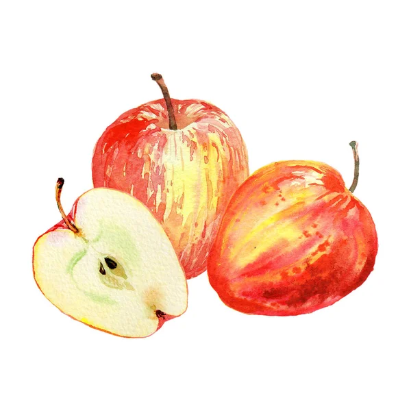 Manzanas rojas aisladas sobre fondo blanco. Ilustración en acuarela de manzanas cortadas y rojas enteras. Recogida de cosecha. Conjunto de frutas . — Foto de Stock