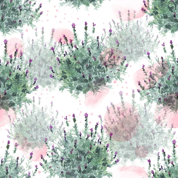 Watecolor arbustos de lavanda francés delicado patrón sin costuras sobre fondo blanco con manchas de color rosa pastel —  Fotos de Stock