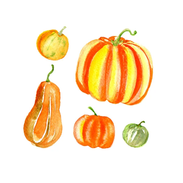 Geel oranje groen halloween verschillende pompoenen set geïsoleerd op wit. Aquarel oogst dankzegging dag voedsel illustratie. — Stockfoto