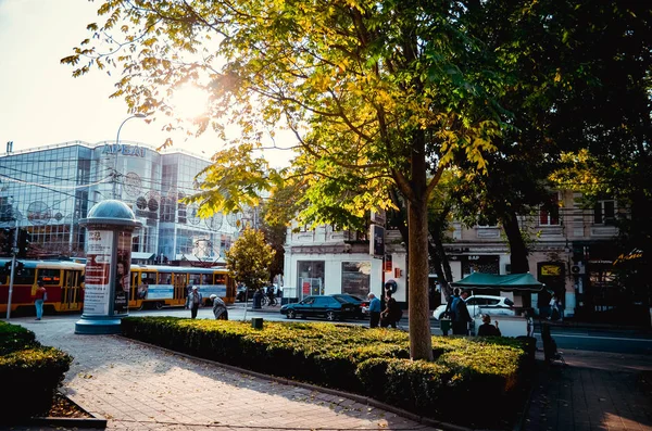 Autumn tree in the city