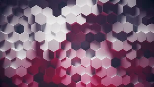 Abstract geometric hexagon loop - 3D animation — Stock Video