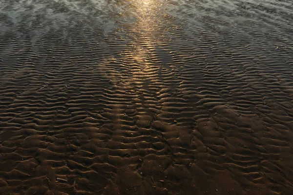 Schöner Sonnenuntergang an der Sandstrandküste in Dänemark. Sonniger Naturhintergrund. Klarer Himmel mit Sonne — Stockfoto