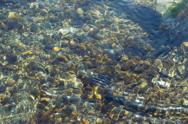 Güneşli bir günde Nisan ayında sığ mias Nehri'nin kayalık alt