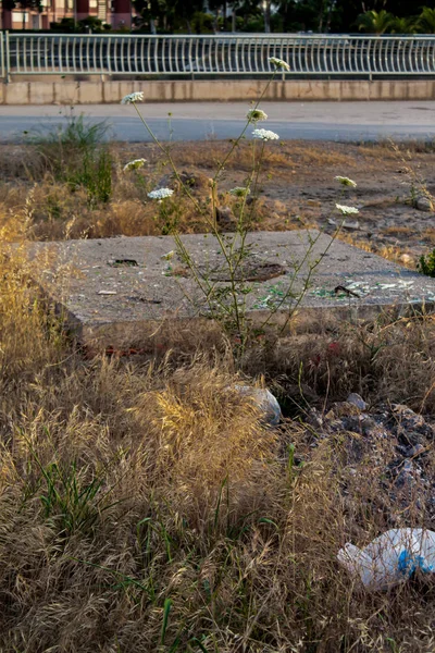 Fotoğraf Mavisehir/Izmir almıştır. Bazı kahverengi çalılar, çalılık, iyi görünüyor ve arka plan bir kanal.