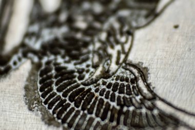 bir makro çekim üzerinden çizim bir kartal. metal yüzey ve oyma üzerinde rakam.