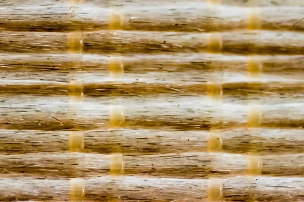 Zajímavé Textury Střílet Bambusu Povrchu Dominuje Žluté Hnědé Barvy — Stock fotografie