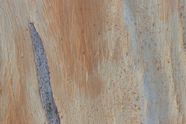 Strzelać zbliżenie do starych zarysowanych tekstury powłoki drewna — Zdjęcie stockowe